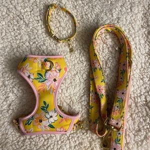 Top Paw Dog Harness Set